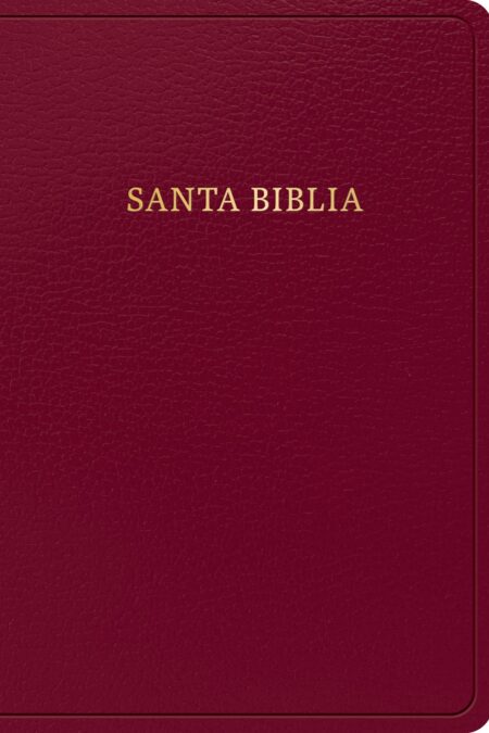 Biblia letra grande tamaño manual, borgoña, imitación piel (edición 2023) RVR 1960